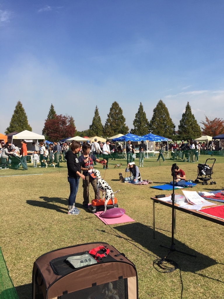 f:id:yasaka-ah:20181111145445j:plain