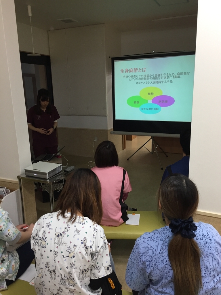 f:id:yasaka-ah:20190311092343j:plain f:id:yasaka-ah:20190311092343j:plain