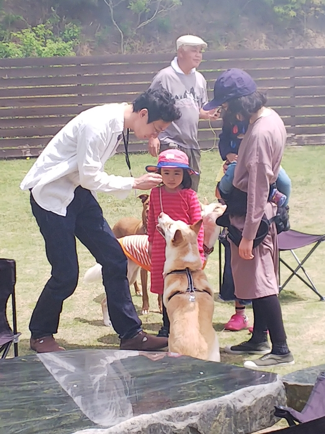 f:id:yasaka-ah:20190603004319j:plain