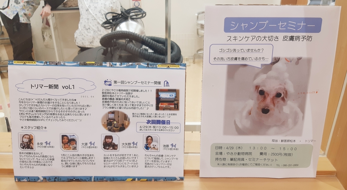 トリマー新聞start 彡 永安 やさか動物病院 トリマーブログ
