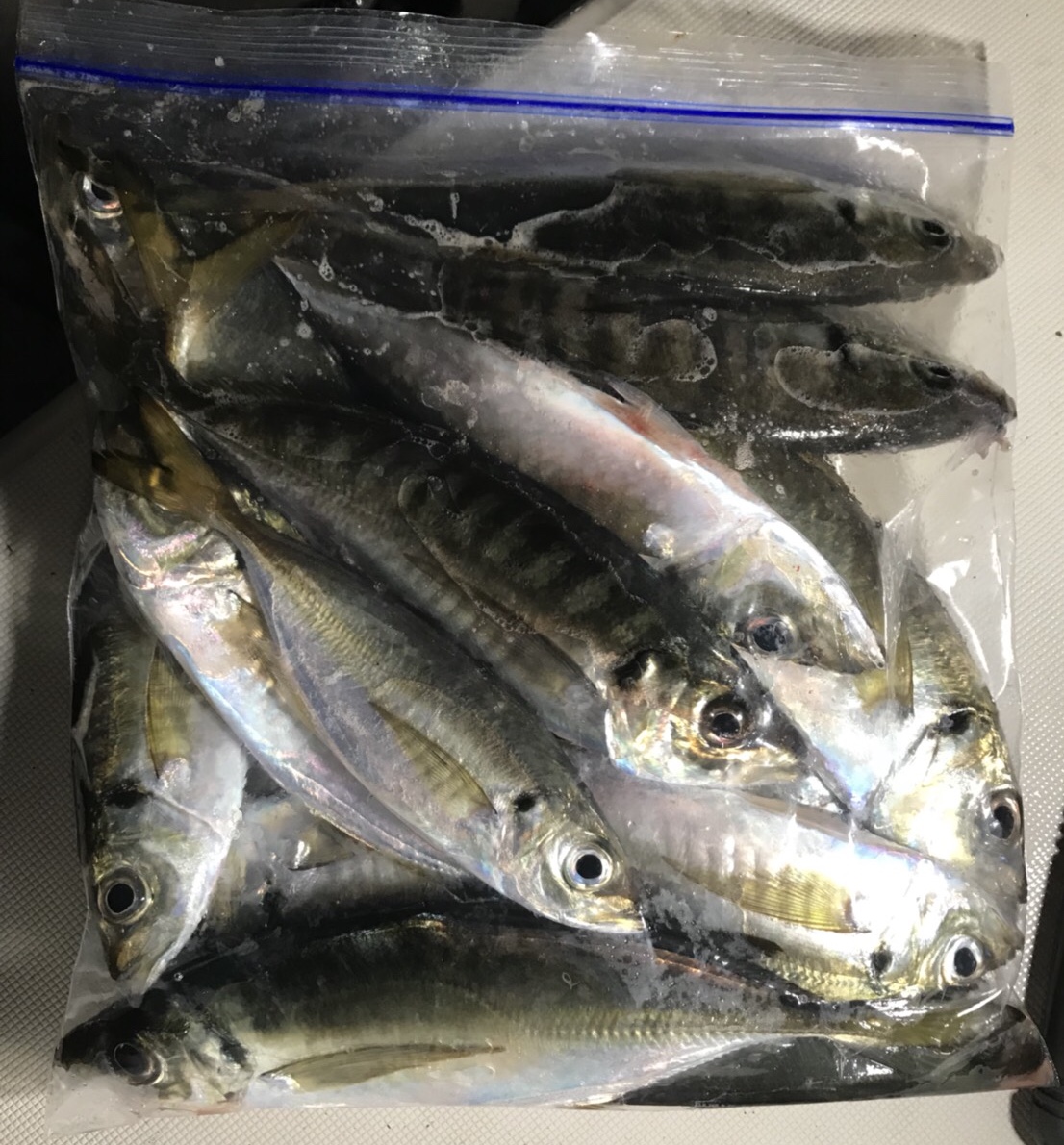 f:id:yasaka-m:20191119092919j:plain