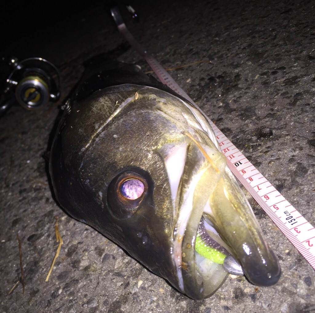 f:id:yasaka-m:20191123115539j:plain