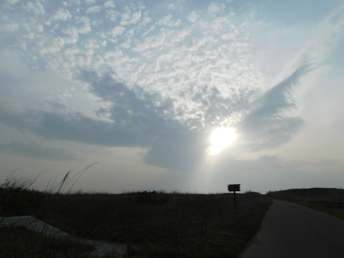 f:id:yasashiitaiyo:20191218233538j:plain