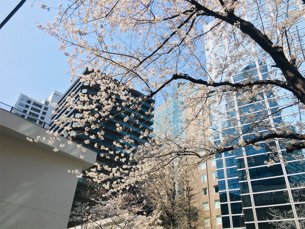 f:id:yasashiiyamanba:20190402153314j:image