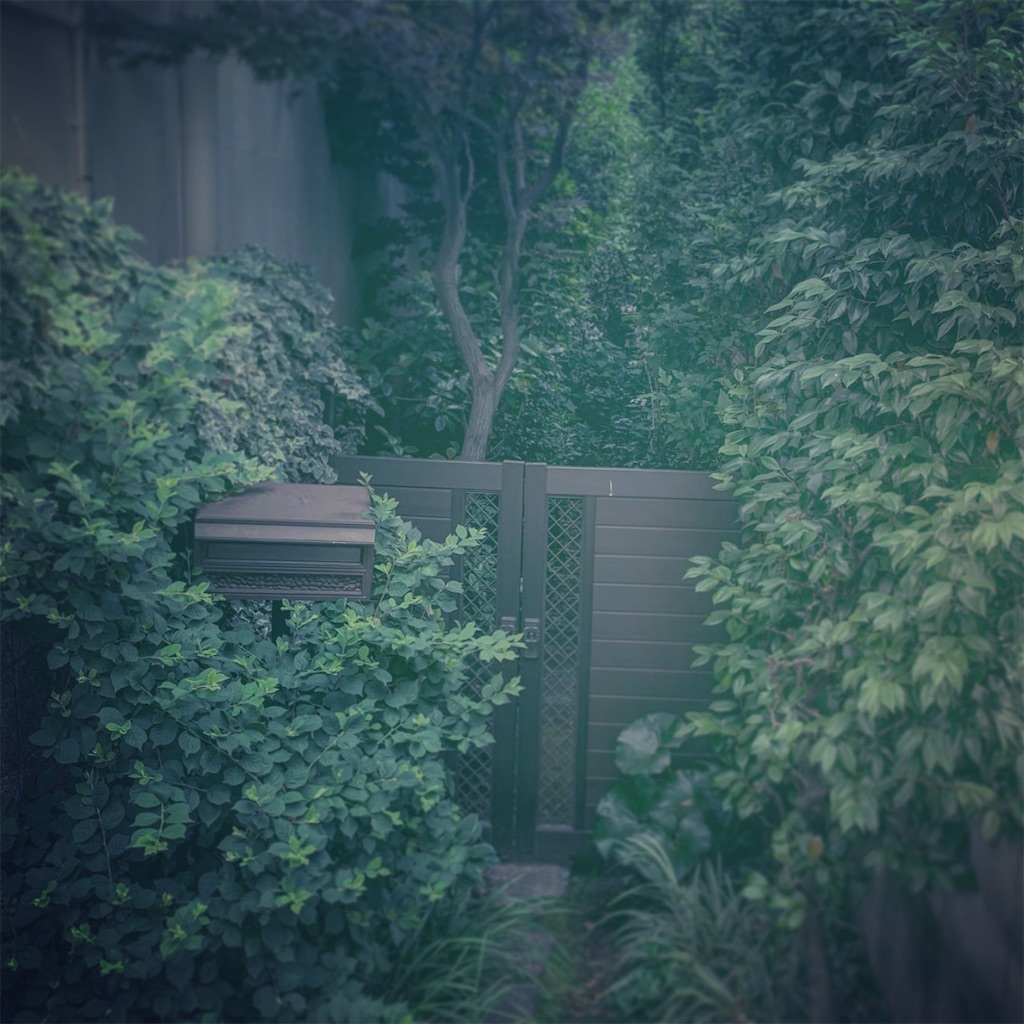 f:id:yasashiiyamanba:20190816201355j:image