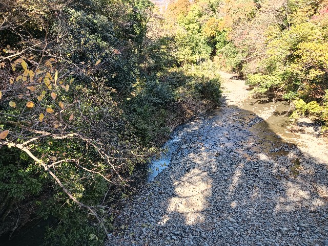 f:id:yascycle:20241129151921j:image f:id:yascycle:20241129151921j:image