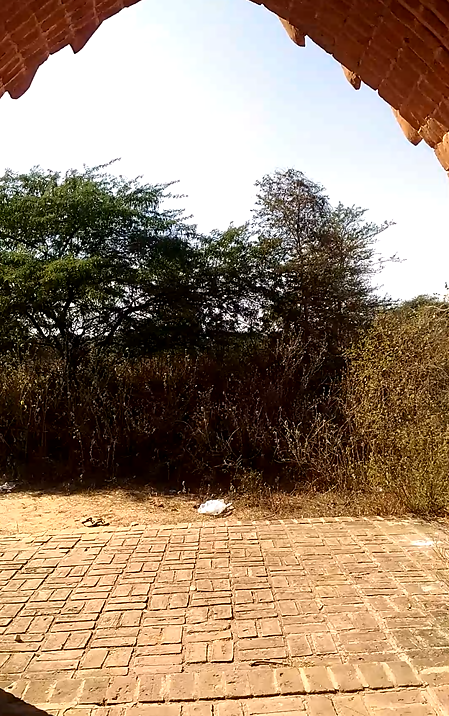 f:id:yaseinoosamu:20200322193021p:plain