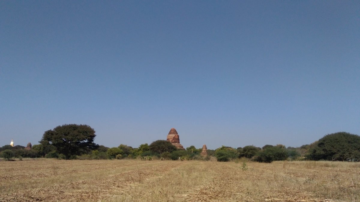 f:id:yaseinoosamu:20200329132020j:plain