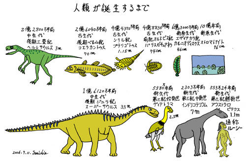 イメージ 3