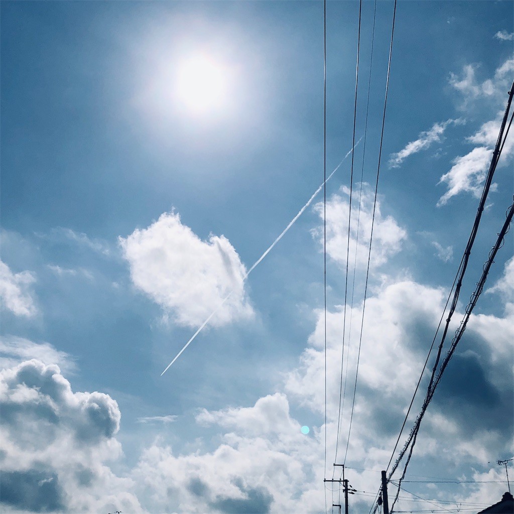 f:id:yashigani_w:20190906101622j:plain:w320