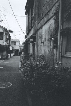 20120810184534