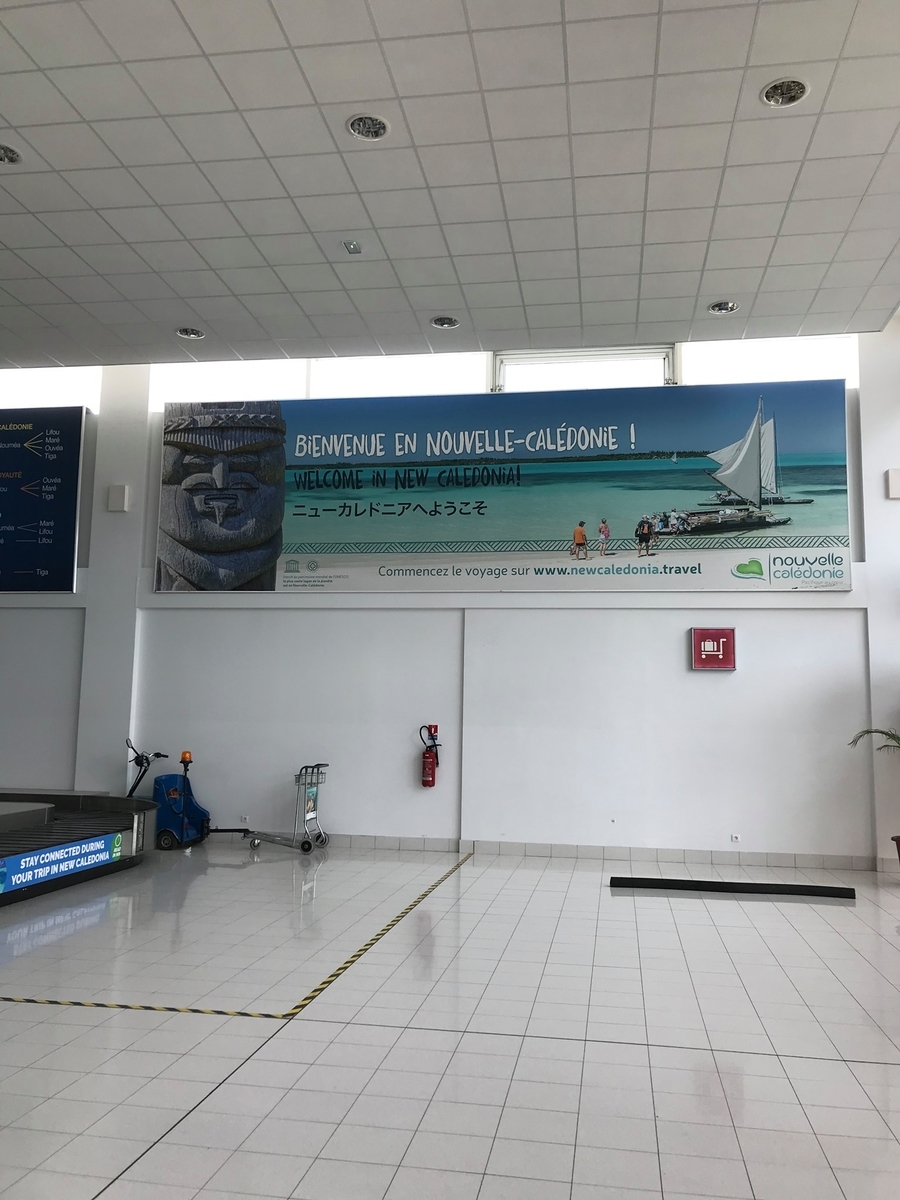 f:id:yashinominews:20190623044546j:plain f:id:yashinominews:20190623044546j:plain