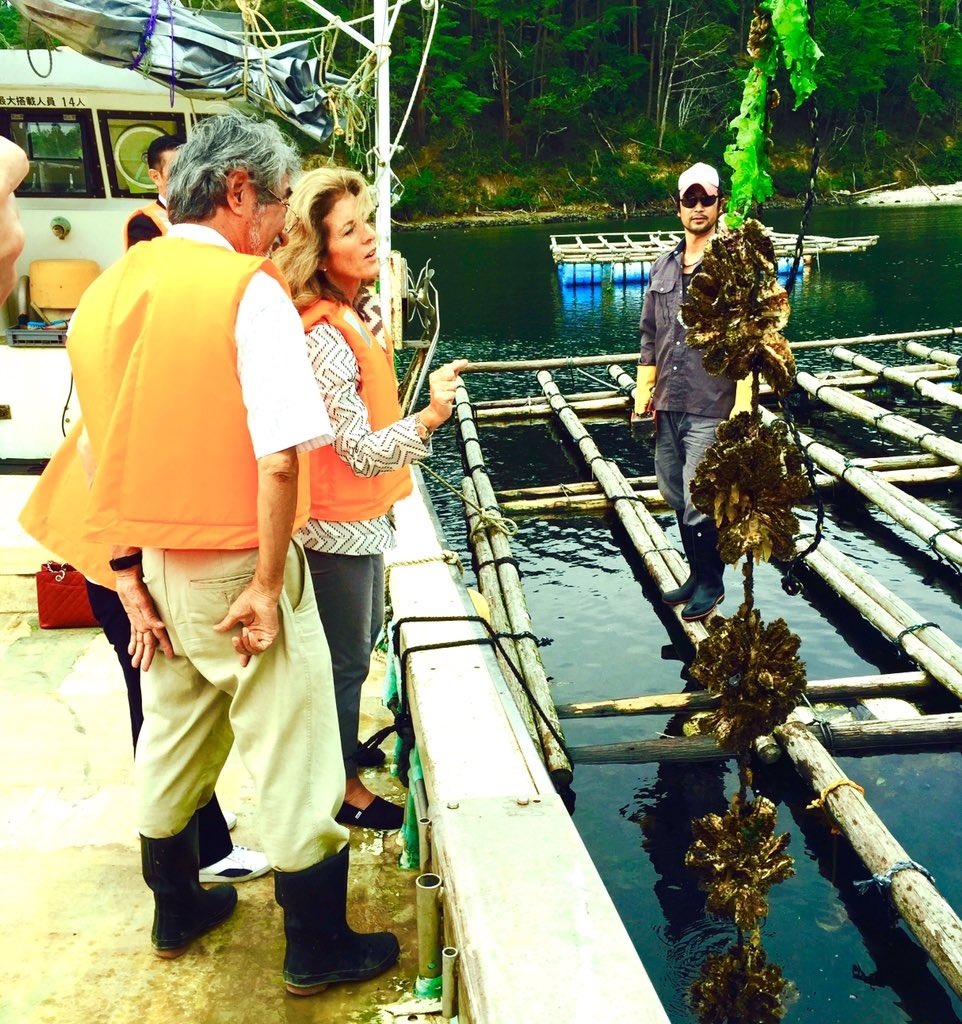 f:id:yashinominews:20210829134434j:plain