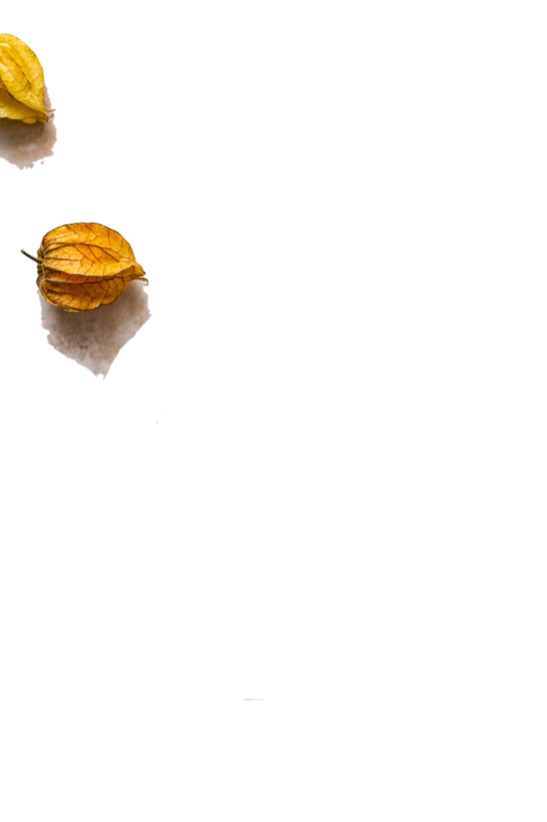 Web小説美術館 まほろば