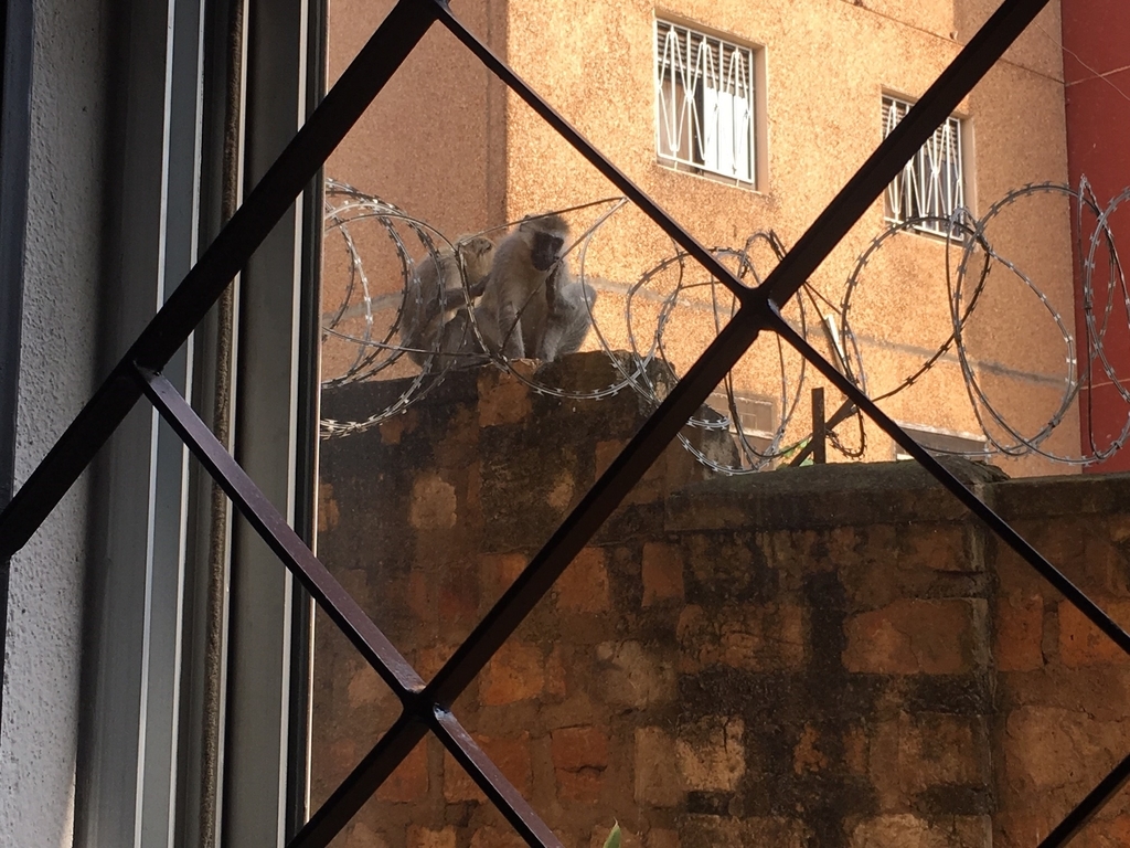 f:id:yaskolnikov:20190130204922j:plain f:id:yaskolnikov:20190130204922j:plain