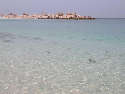 f:id:yasmee:20190526215259j:plain