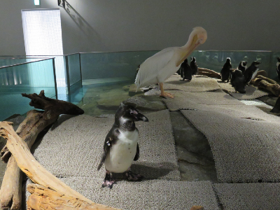 f:id:yasmee:20191205053436j:plain f:id:yasmee:20191205053436j:plain