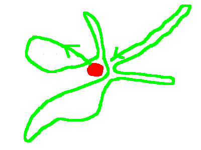 f:id:yasmee:20191208205536p:plain