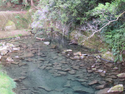 f:id:yasmee:20200430113507j:plain f:id:yasmee:20200430113507j:plain