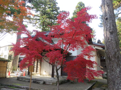 f:id:yasmee:20201116233425j:plain