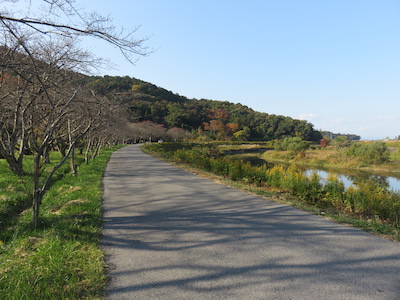 f:id:yasmee:20201117100520j:plain