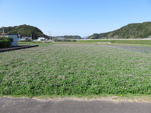 f:id:yasmee:20210324173738j:plain