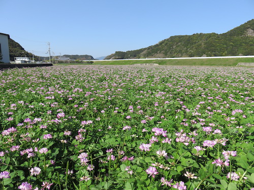 f:id:yasmee:20210324173803j:plain