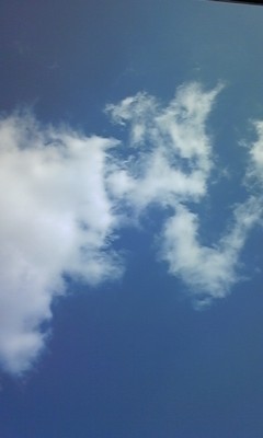 f:id:yasmins:20090315135919j:image:right