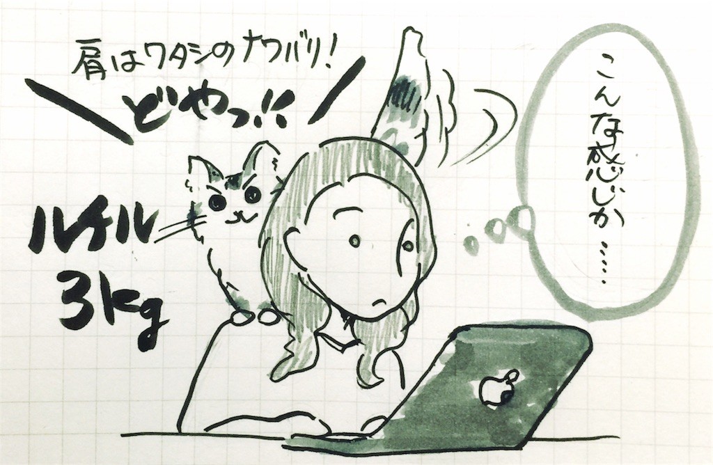 動物を肩に乗せるなら 3kgまでがオススメ 虹がでたなら
