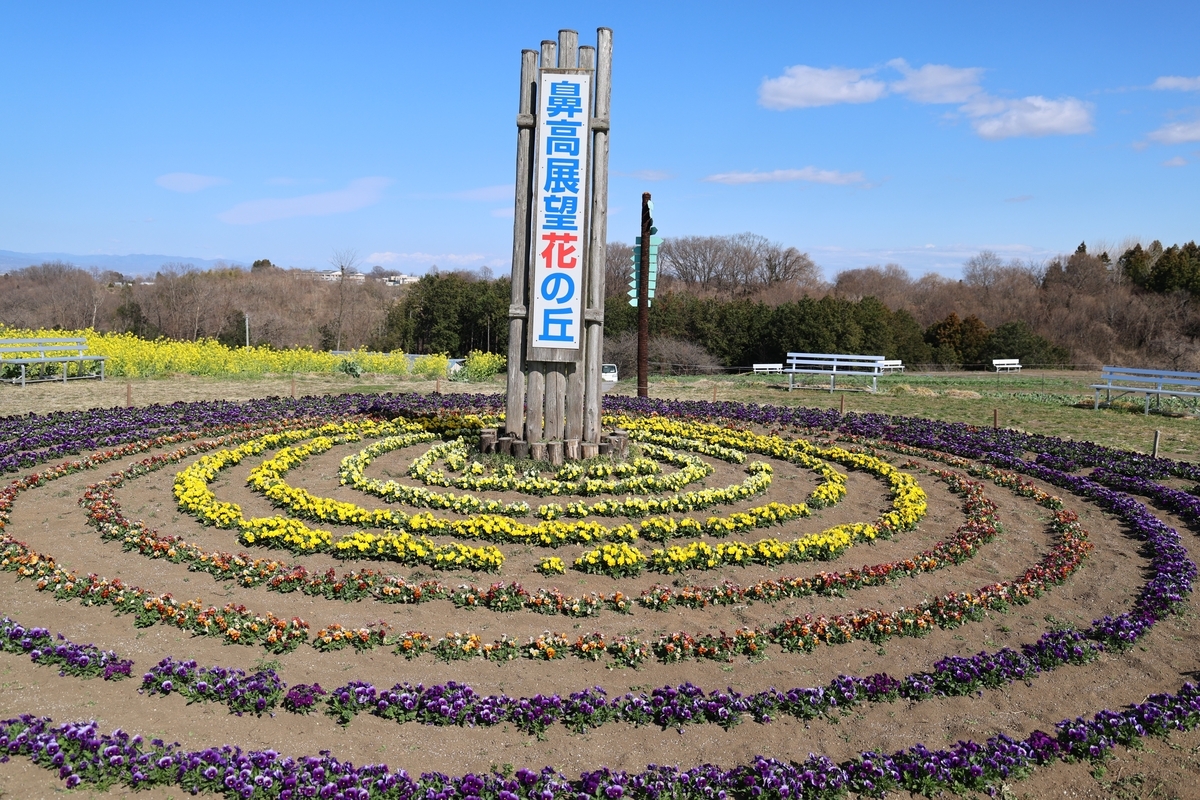 ばなな様確認用 鼻高展望花の丘・早咲き菜の花【EOS R6 MarkⅢ試し撮り②】花