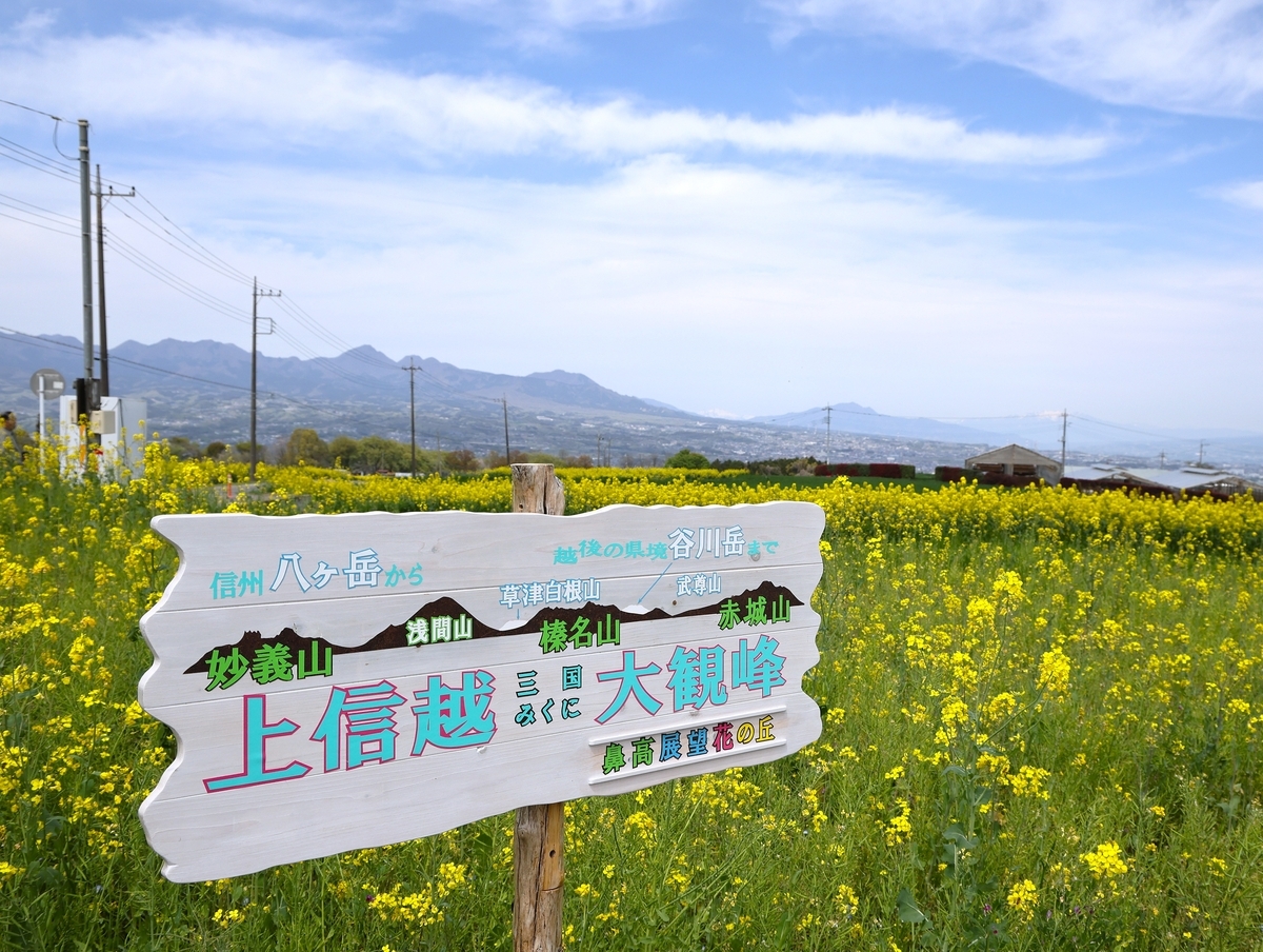 鼻高展望花の丘「菜の花祭り2026年」開催間近です・4月13日開花