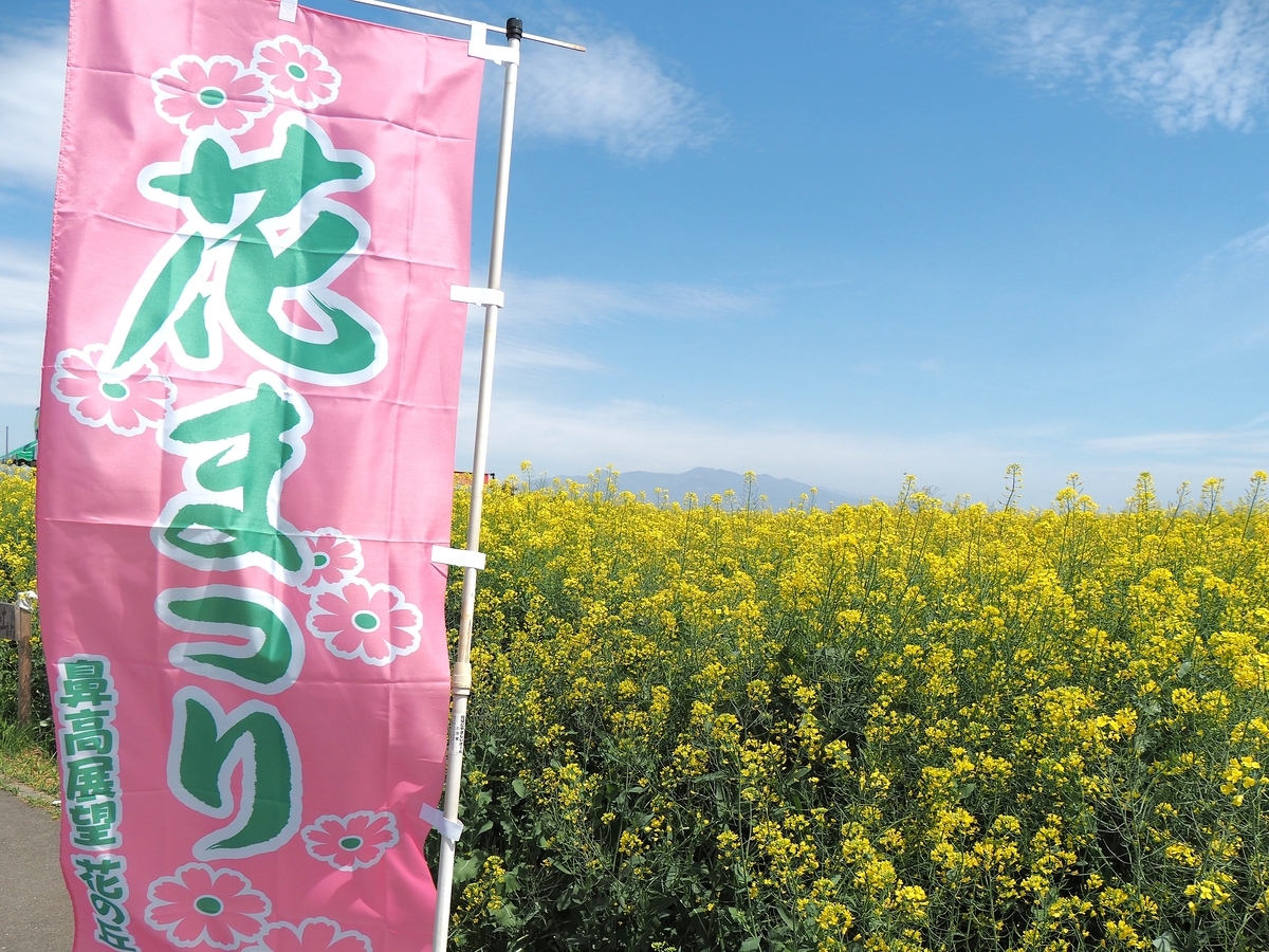 鼻高展望花の丘・菜の花祭り】4月22日開花状況 - ずっとこの空の下で2