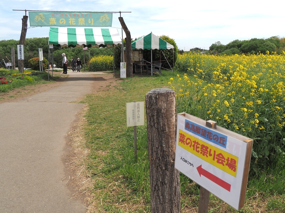 鼻高展望花の丘・菜の花祭り】4月22日開花状況 - ずっとこの空の下で2