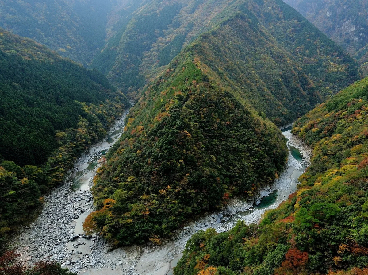 f:id:yasshinomi:20191010002337j:plain f:id:yasshinomi:20191010002337j:plain