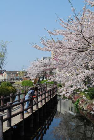 f:id:yasshinomi:20191011221500j:plain f:id:yasshinomi:20191011221500j:plain