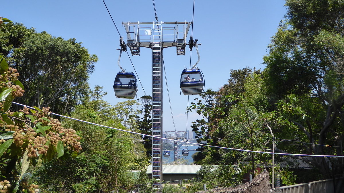 f:id:yasshinomi:20191109223657j:plain f:id:yasshinomi:20191109223657j:plain