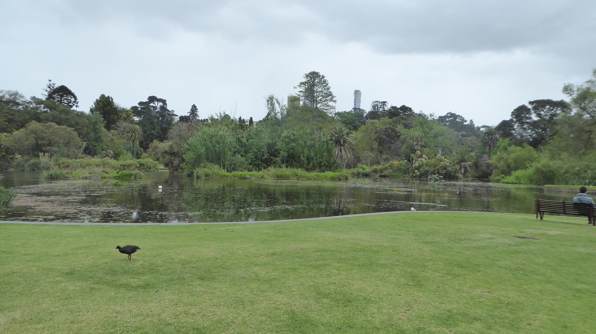 f:id:yasshinomi:20191109230836j:plain f:id:yasshinomi:20191109230836j:plain