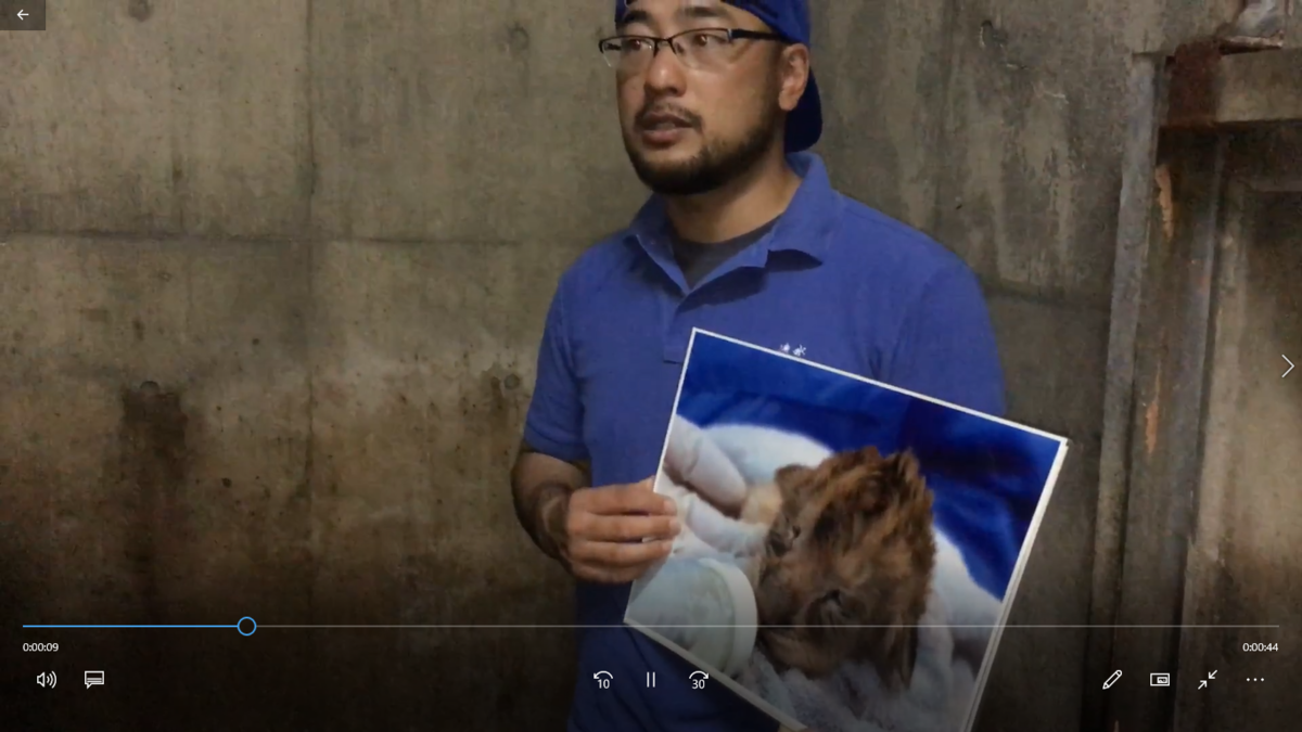 f:id:yasshinomi:20191212094435p:plain f:id:yasshinomi:20191212094435p:plain