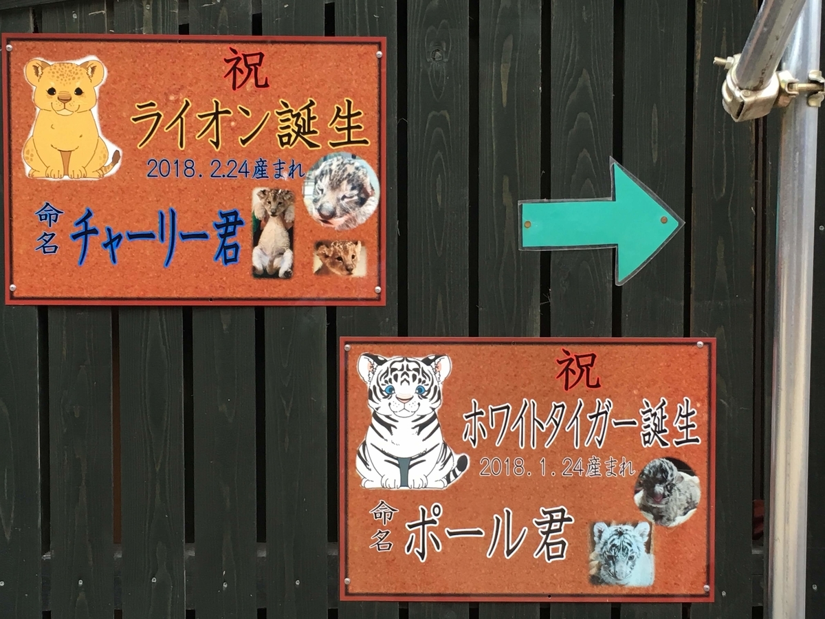 f:id:yasshinomi:20191212095425j:plain f:id:yasshinomi:20191212095425j:plain
