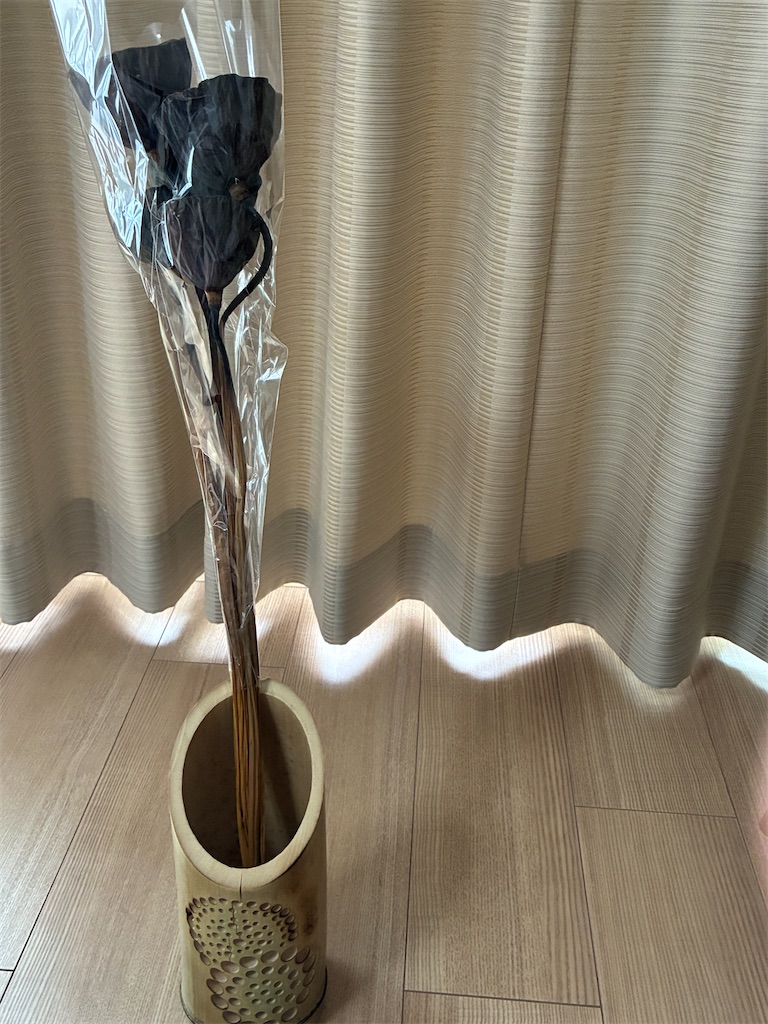 f:id:yasshinomi:20260620130325j:image