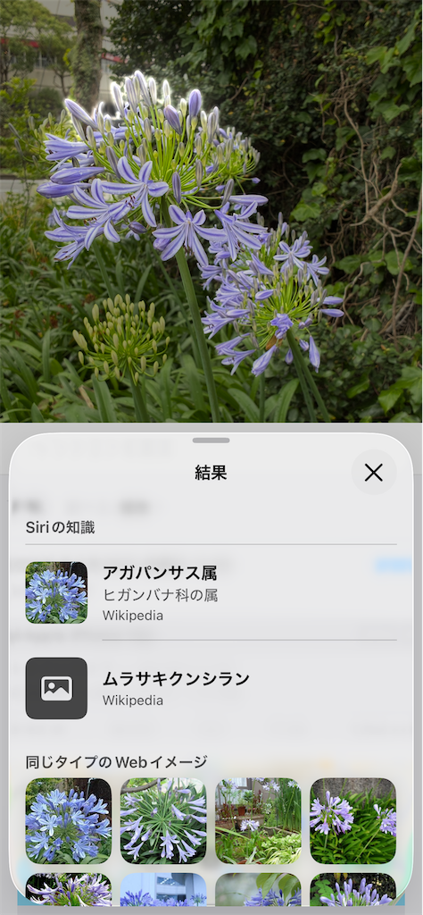 f:id:yasshinomi:20260627084032p:image