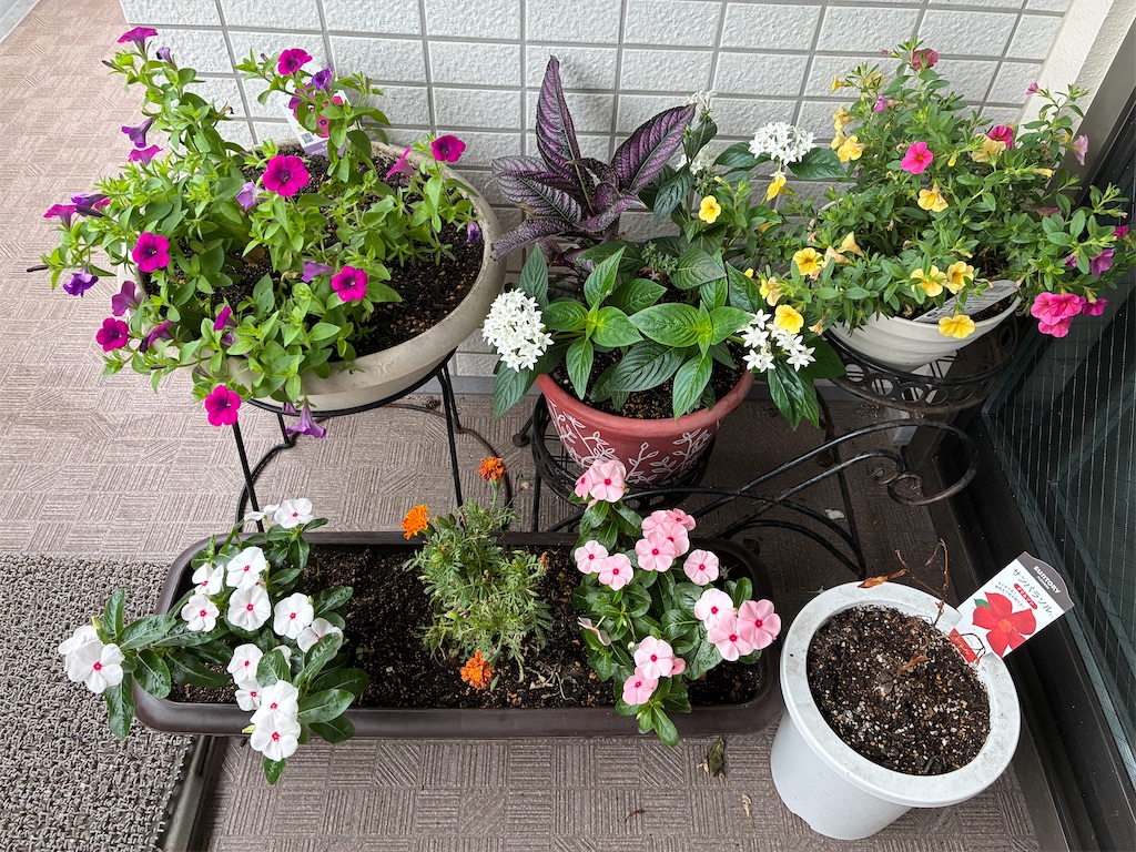 f:id:yasshinomi:20260718164655j:image