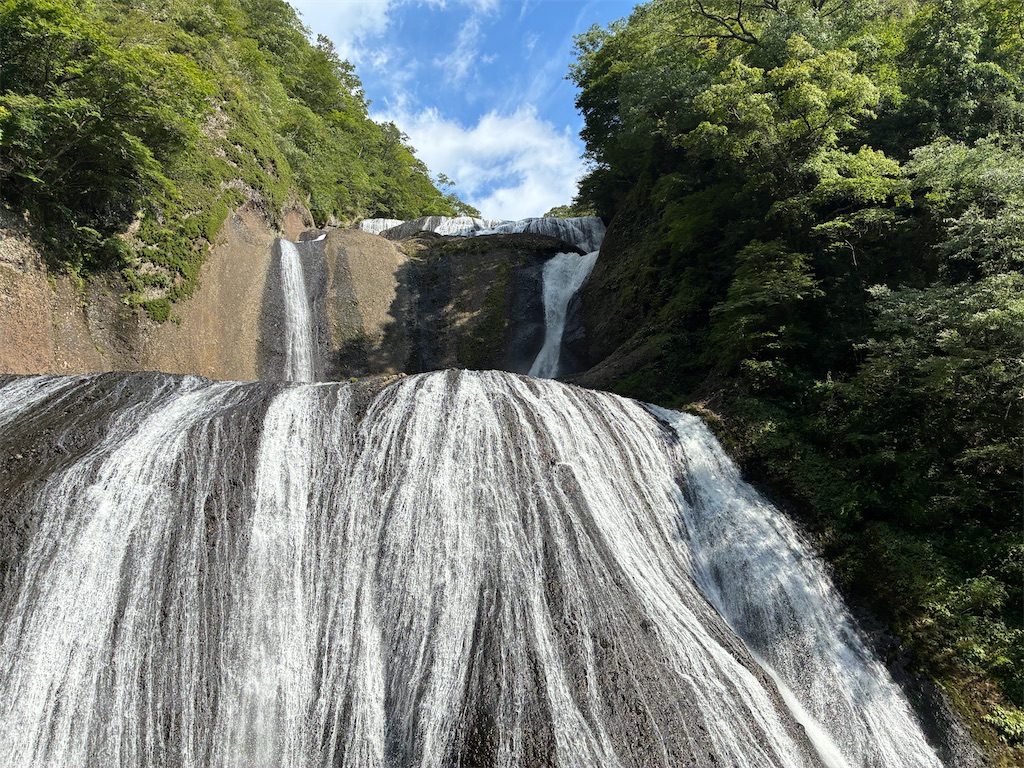 f:id:yasshinomi:20260829082931j:image f:id:yasshinomi:20260829082931j:image