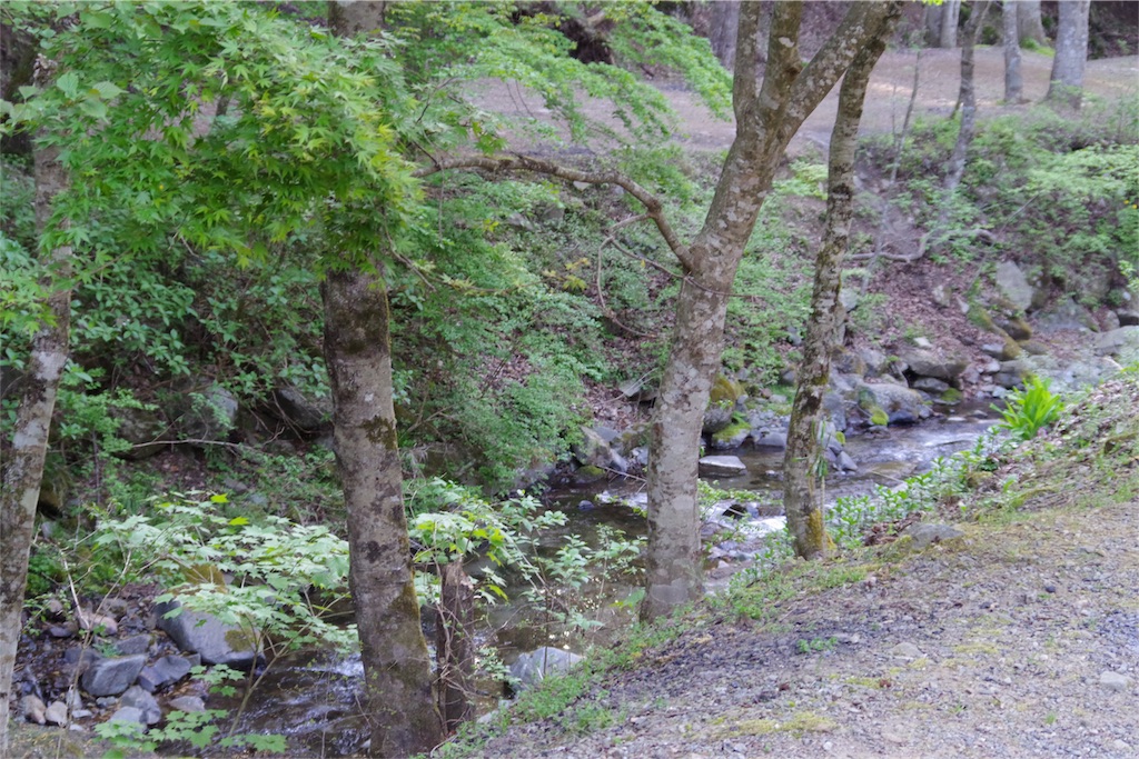 f:id:yassy410:20170509141949j:image