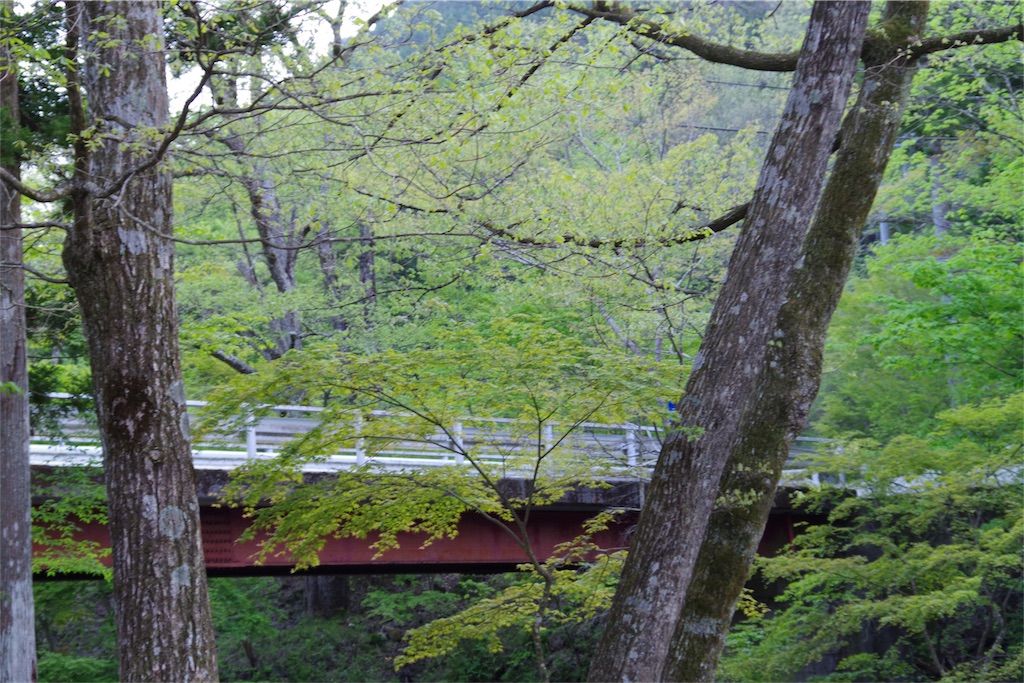 f:id:yassy410:20170509143051j:image