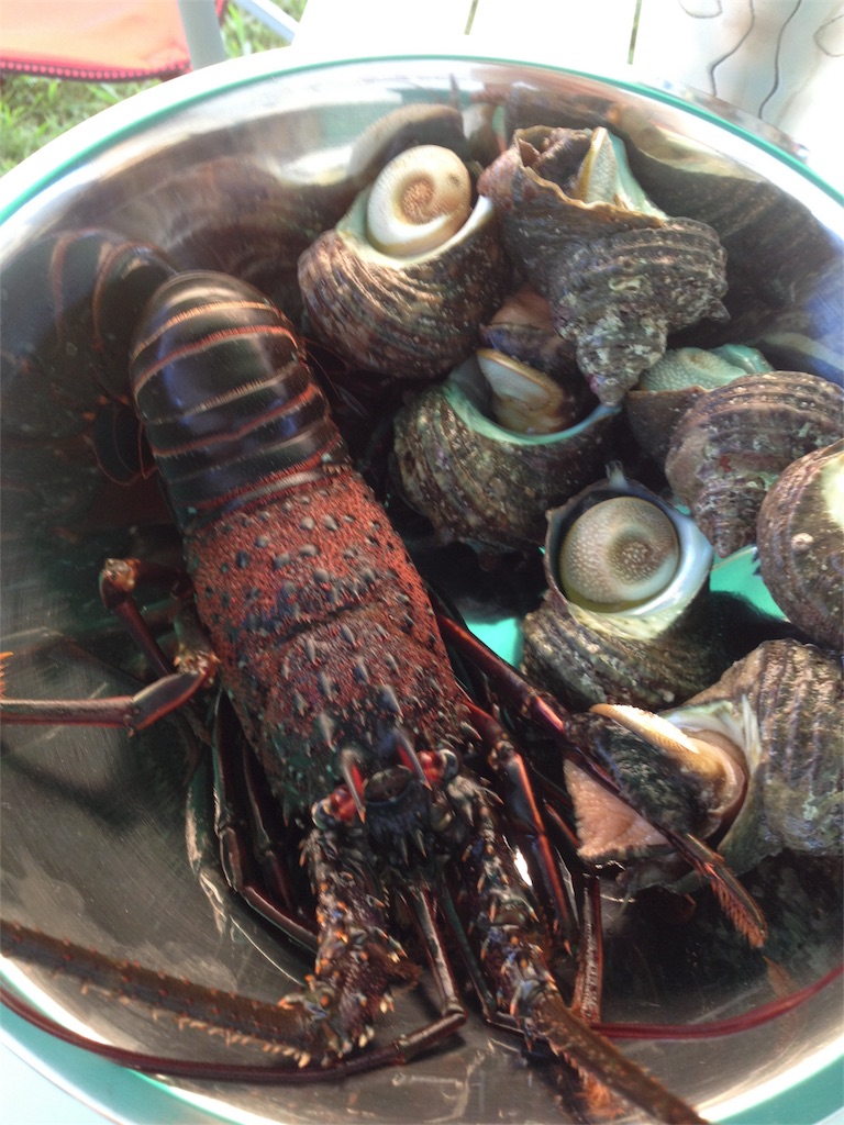 f:id:yassy410:20170516204150j:image