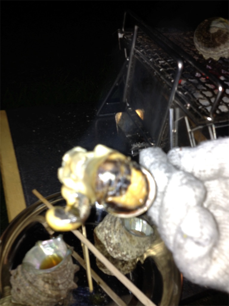 f:id:yassy410:20170516204927j:image