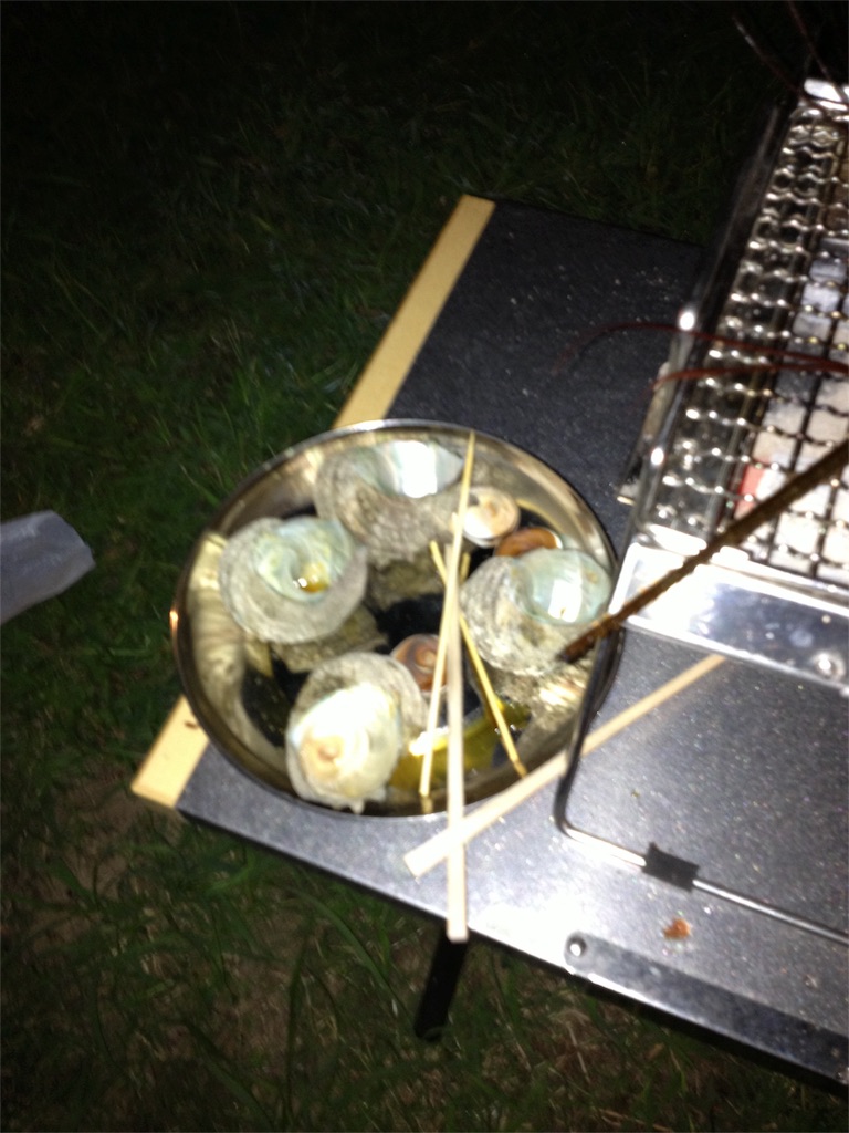 f:id:yassy410:20170516205114j:image