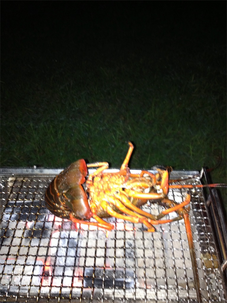 f:id:yassy410:20170516205715j:image