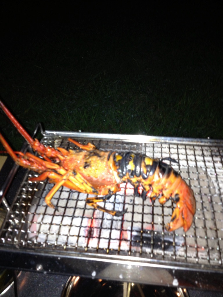 f:id:yassy410:20170516210007j:image